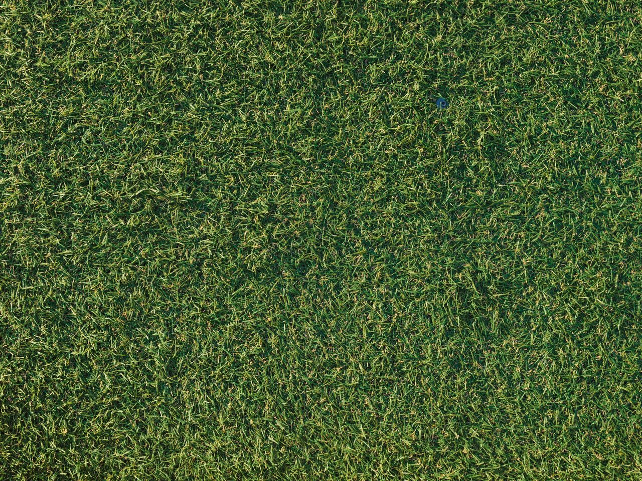 Synthetic turf seen from directly above