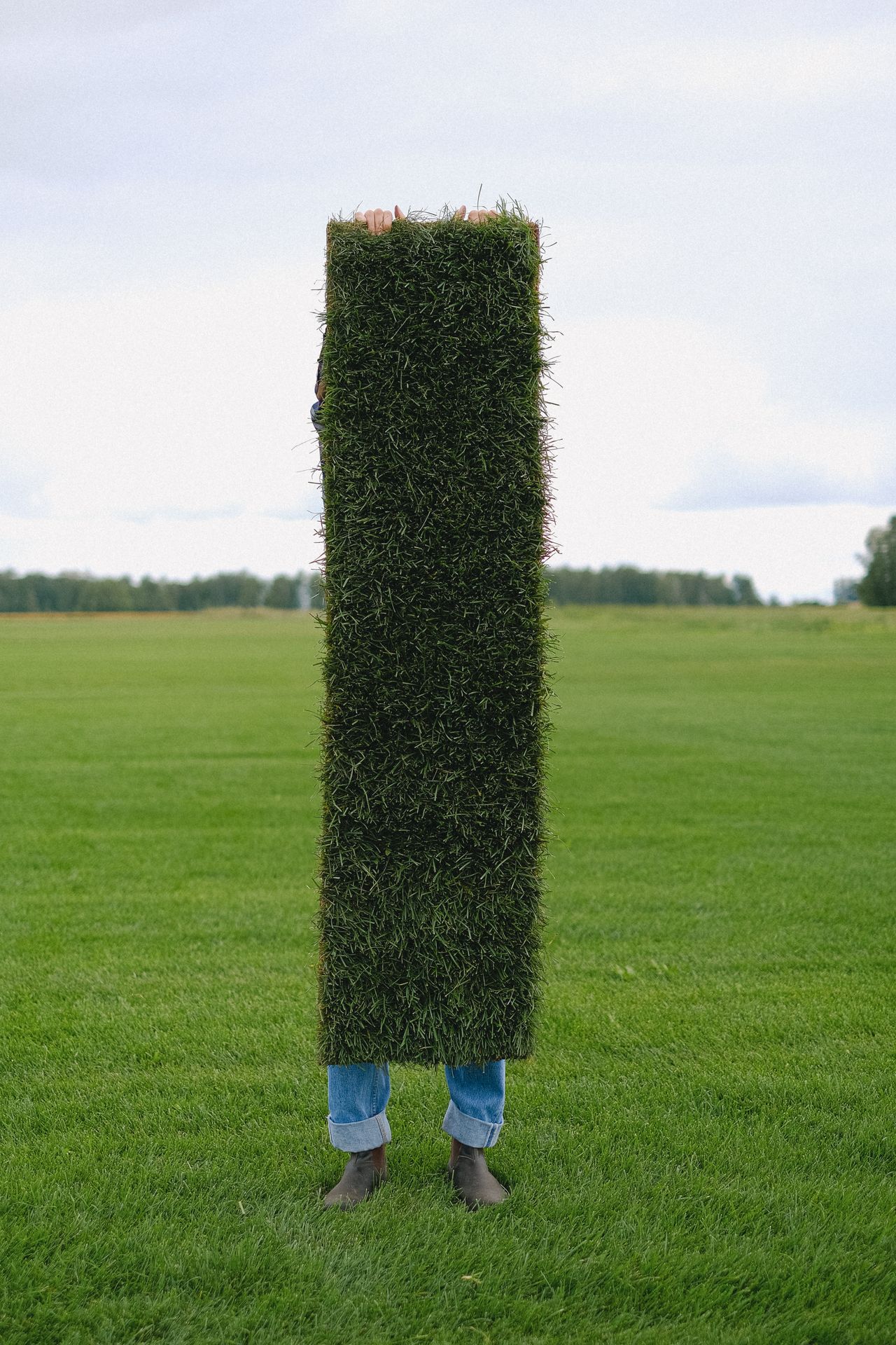 A gardener holding a piece of turf sod