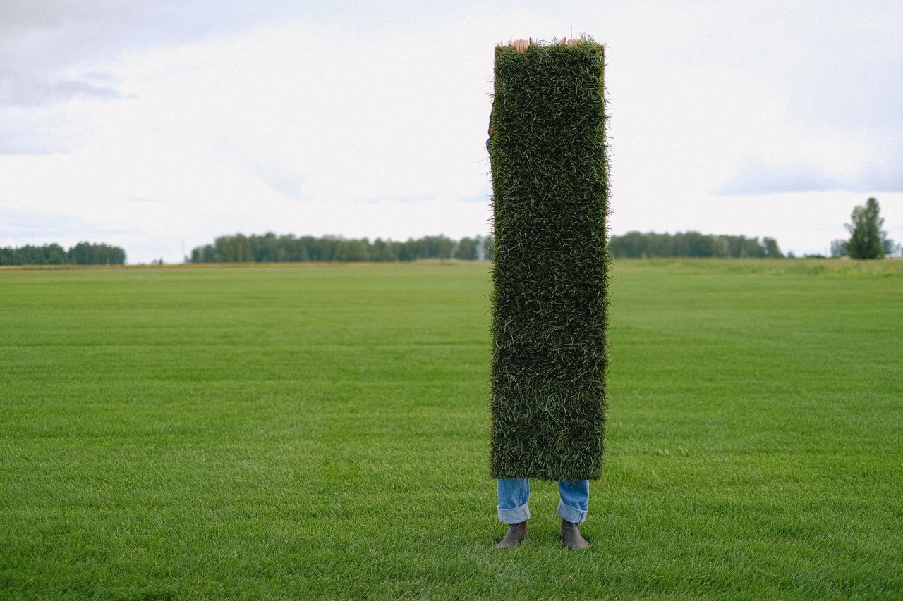 Carrying a roll of turf across a yard
