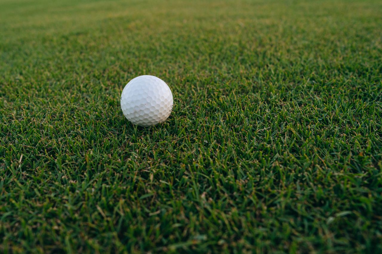 A golf ball resting on green turf