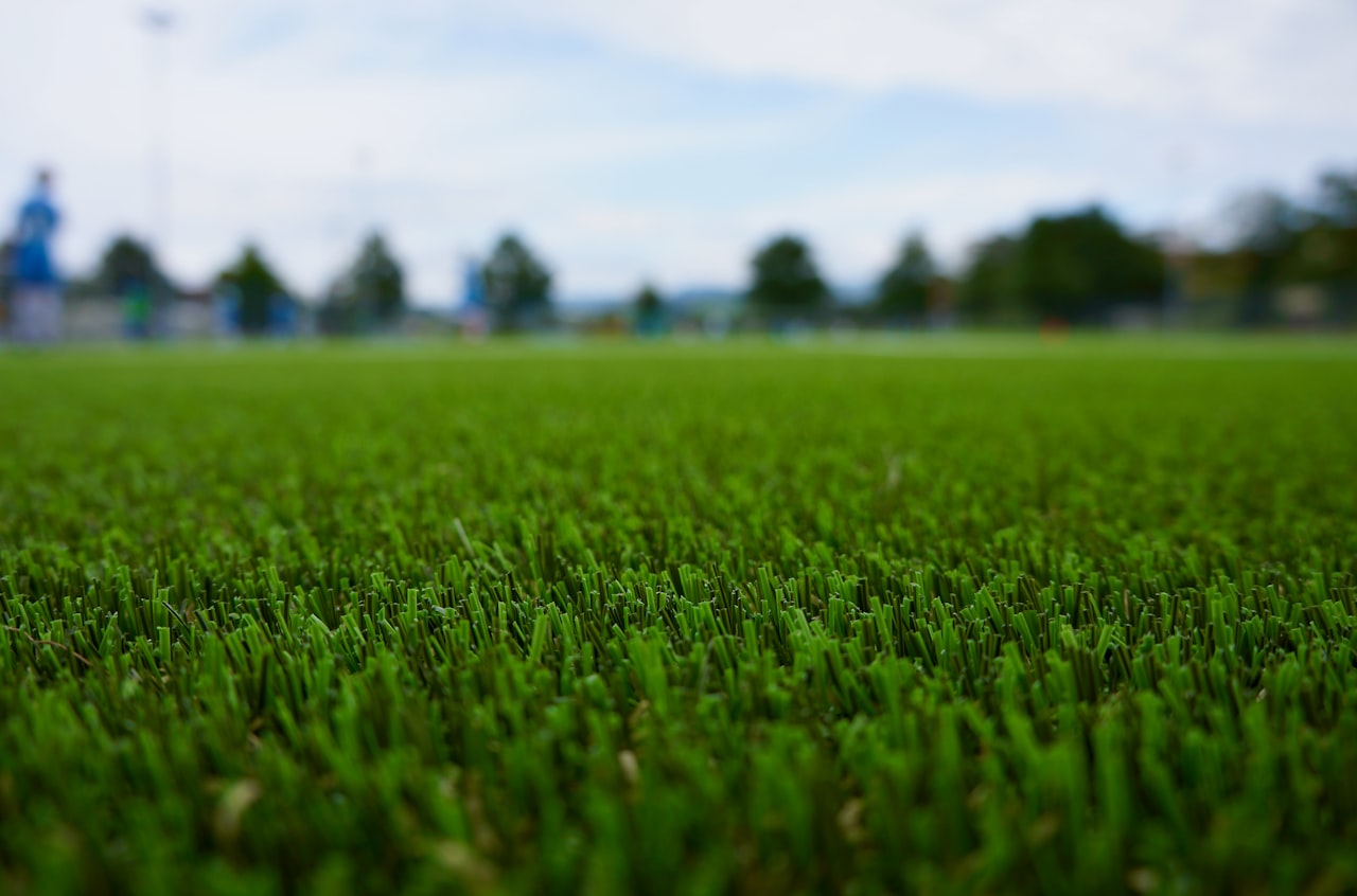 An open expanse of green turf
